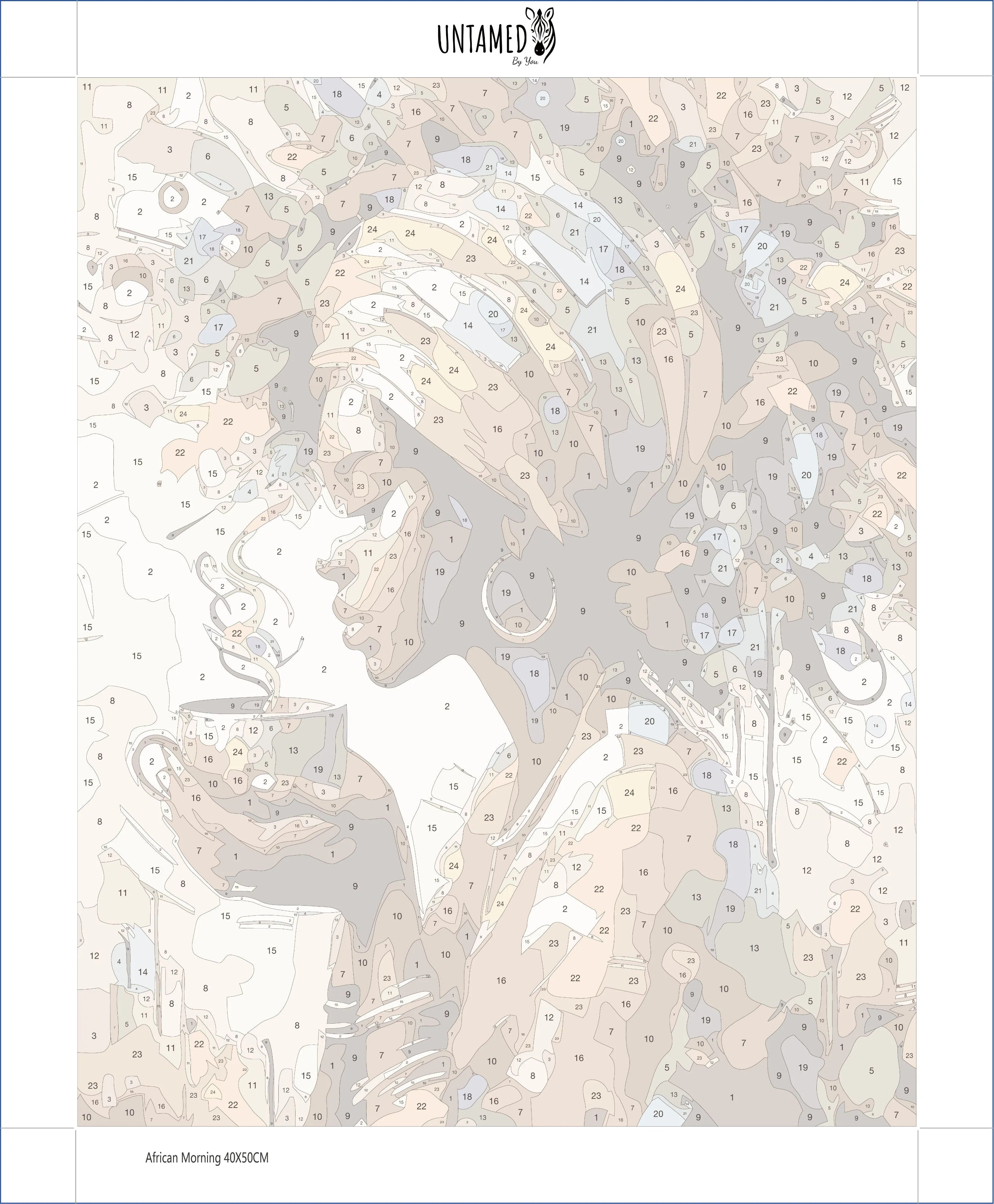 Paint By Numbers - African Morning