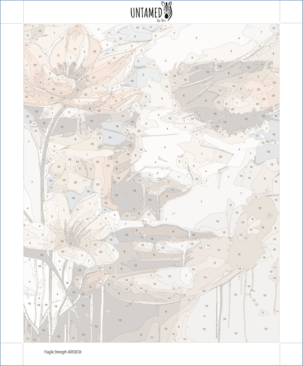 Paint By Numbers – Fragile Strength