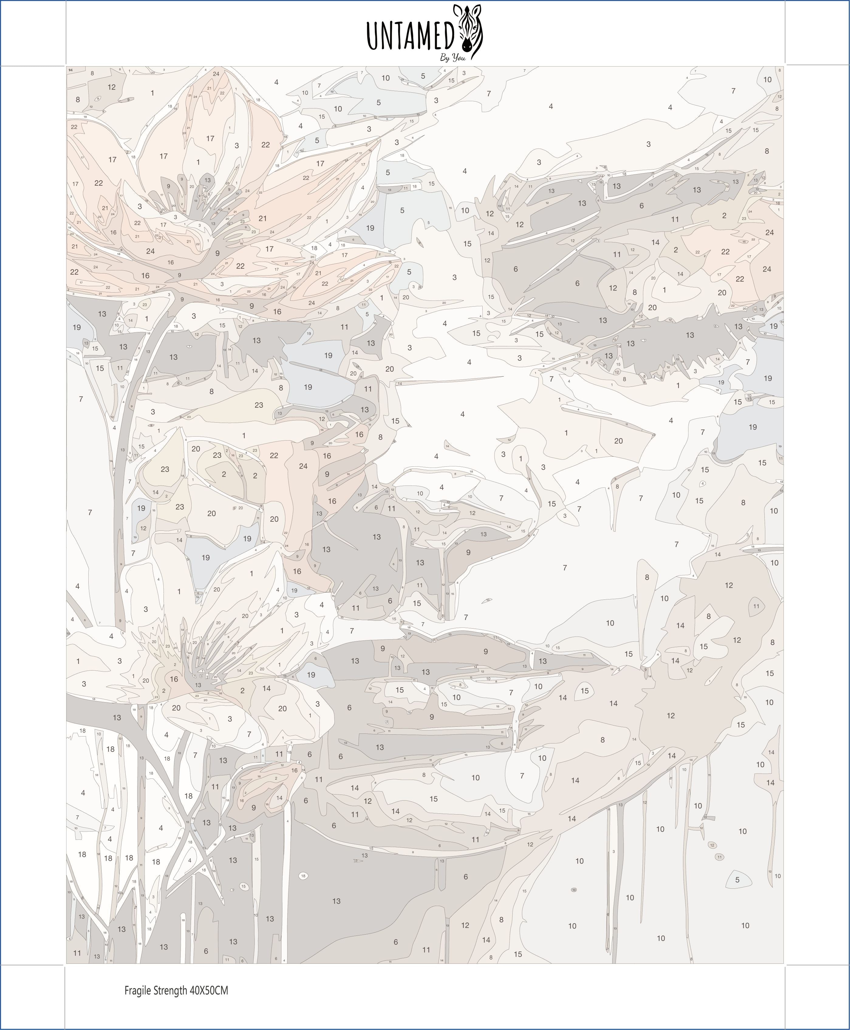 Paint By Numbers – Fragile Strength