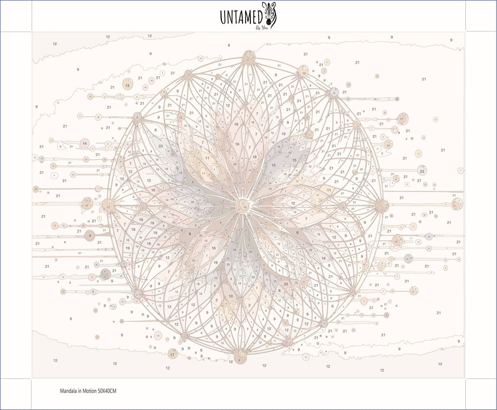 Paint By Numbers – Mandala in Motion