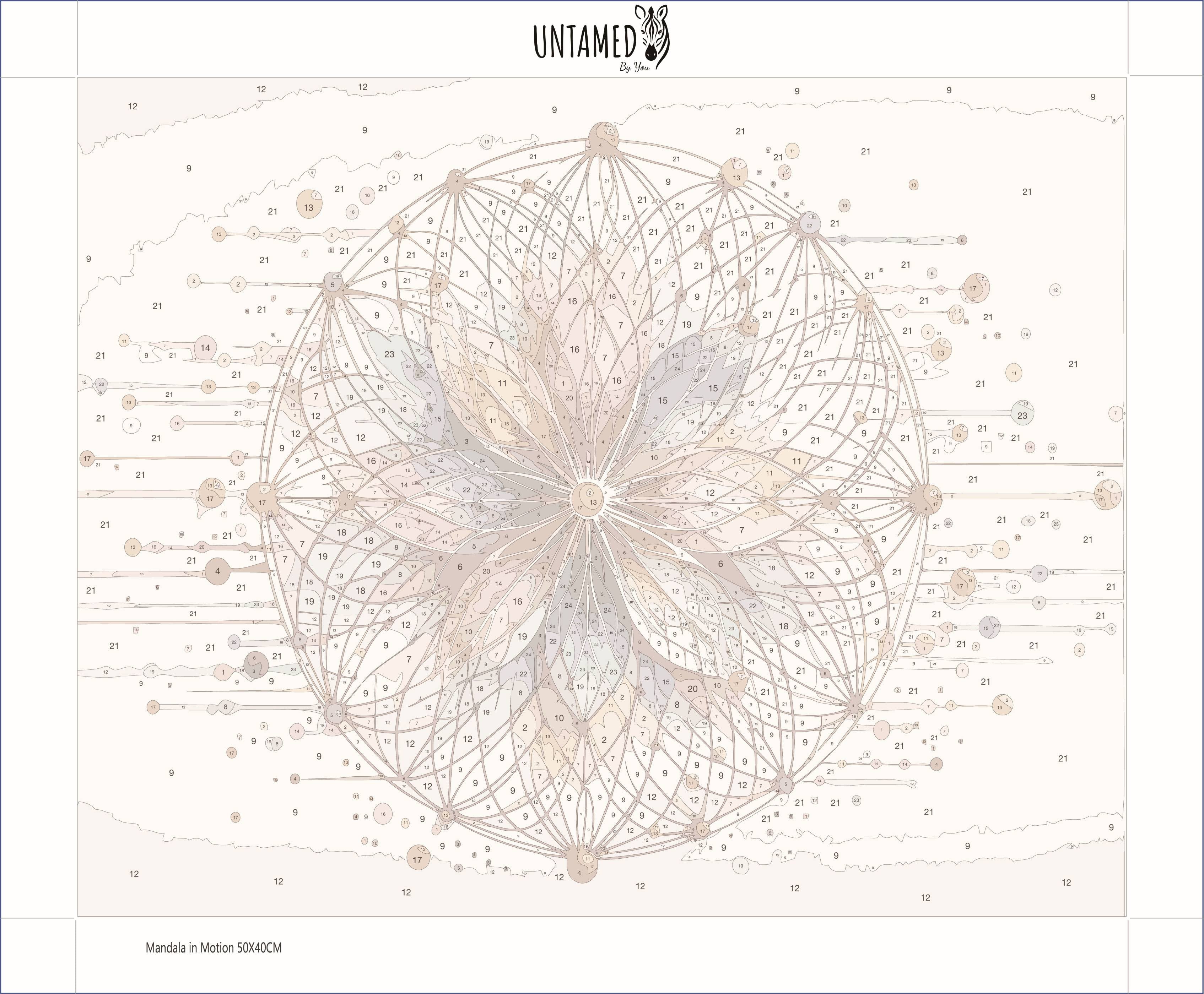 Paint By Numbers – Mandala in Motion