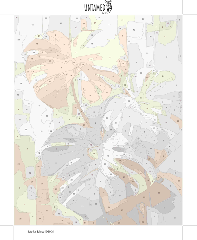 Paint By Numbers – Botanical Balance