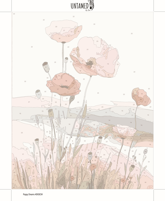 Paint by numbers - Poppy Dreams