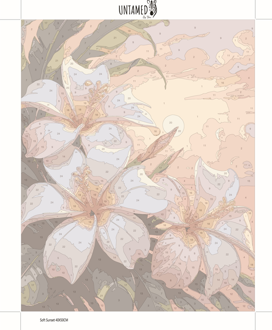 Paint by numbers - Soft Sunset