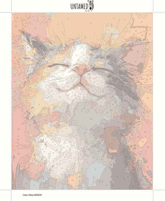 Paint by numbers - Colour Meow