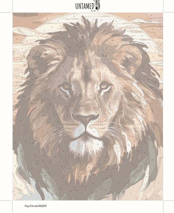 Paint by numbers - King of the Wild