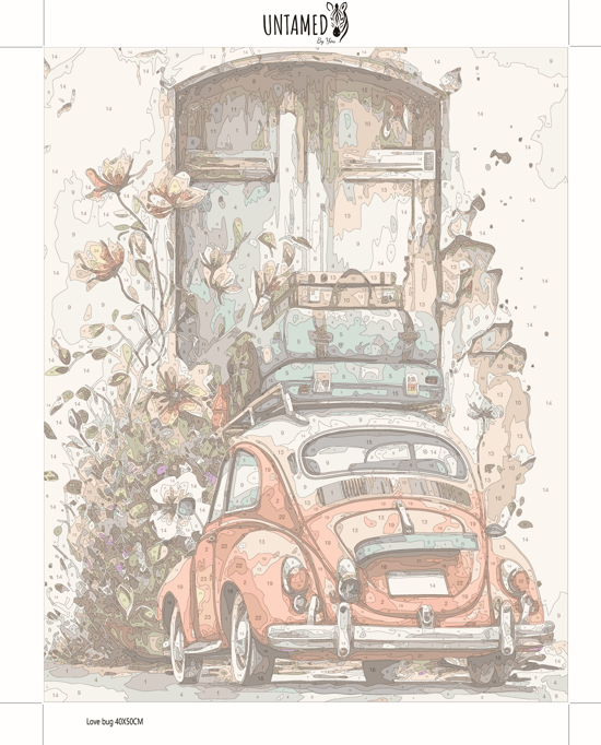 Paint by numbers - Love Bug