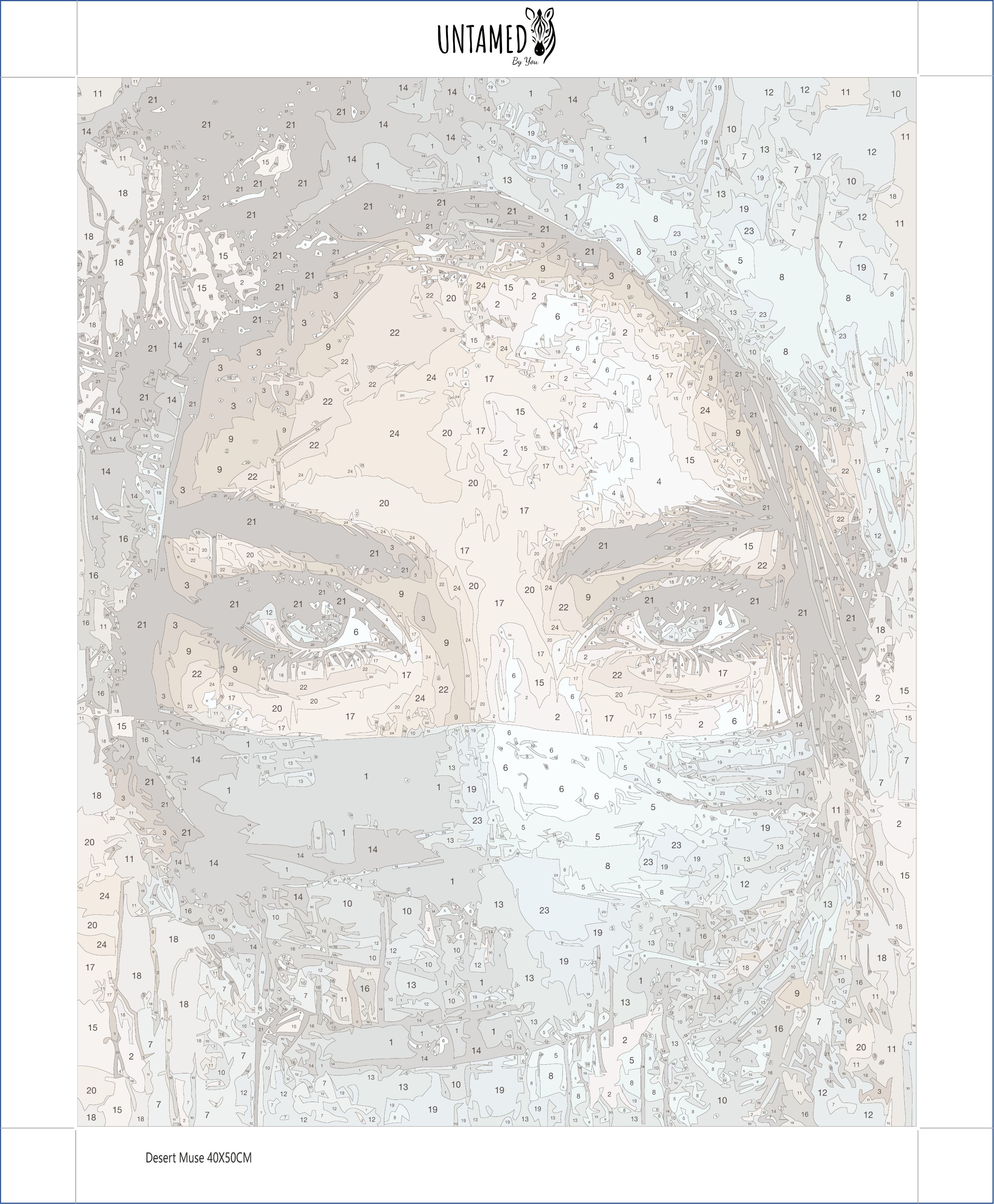 Paint By Numbers - Desert Muse