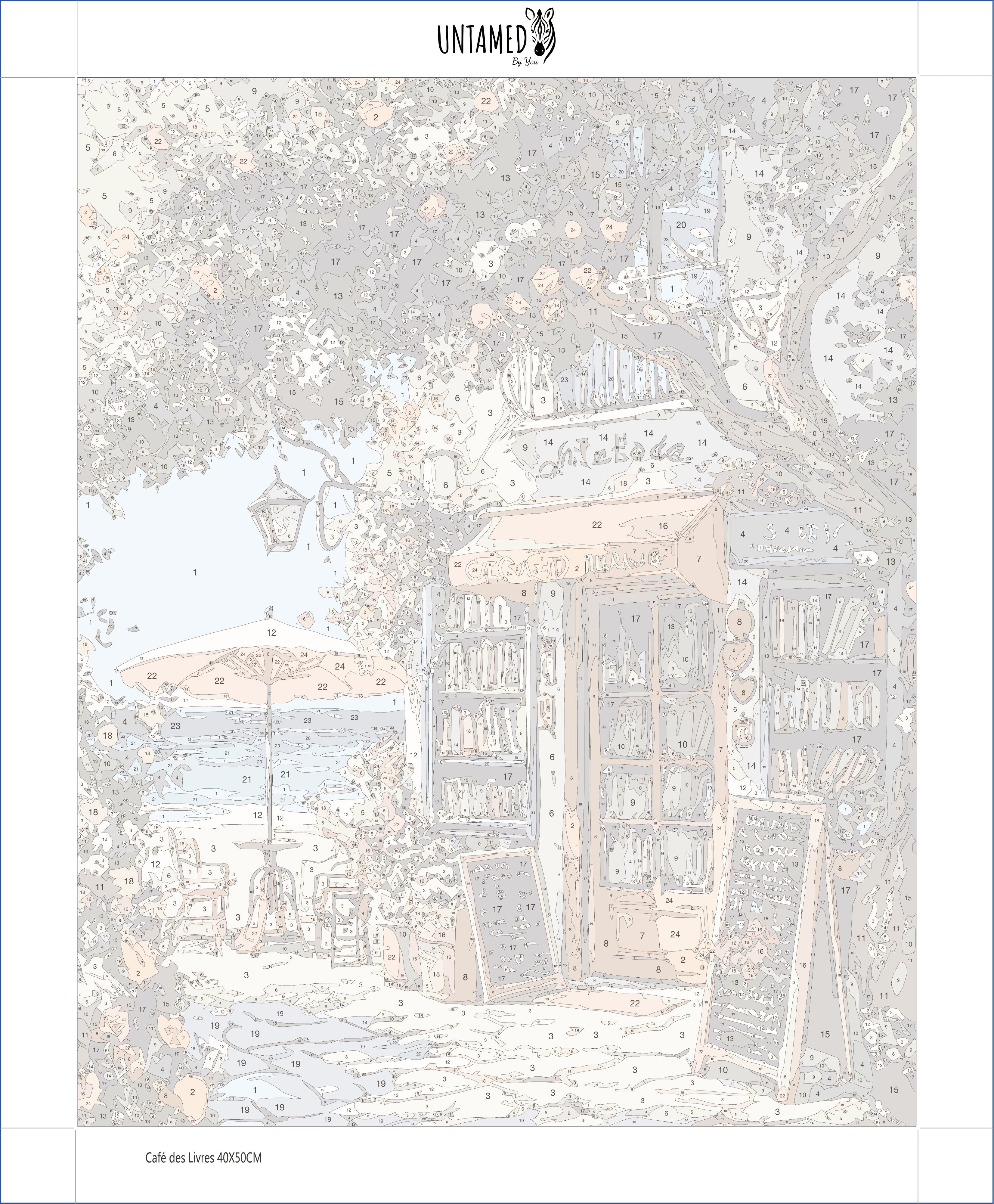 Paint By Numbers - Café des Livres